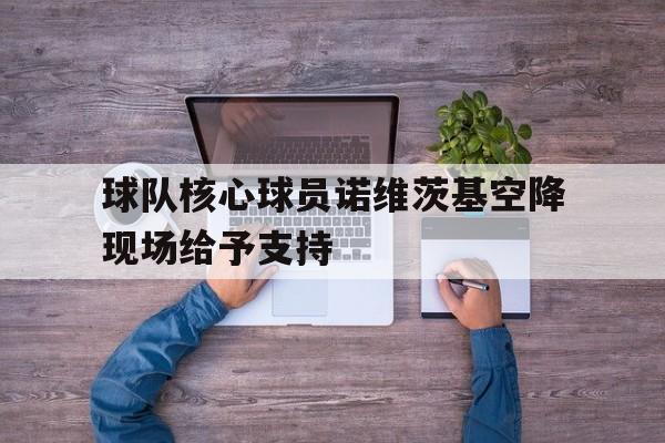 包含球队核心球员诺维茨基空降现场给予支持的词条